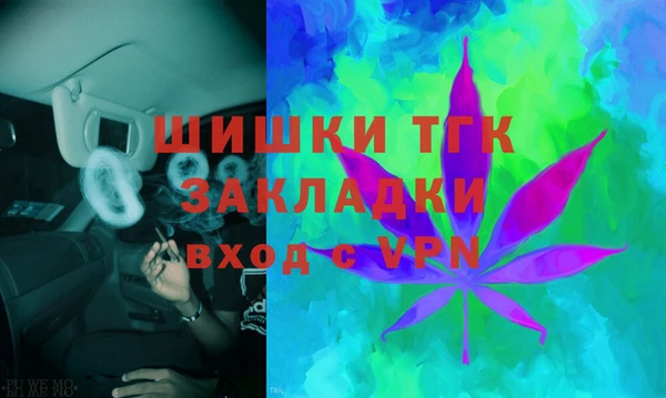 шишки Билибино