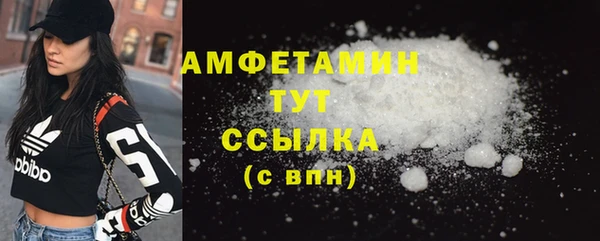 индика Болхов