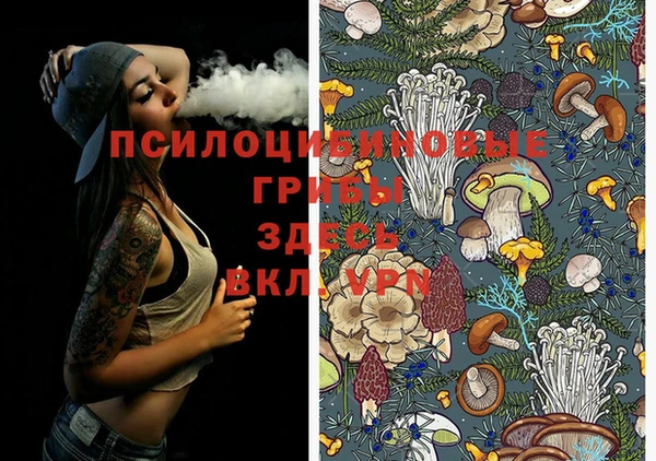 индика Болхов