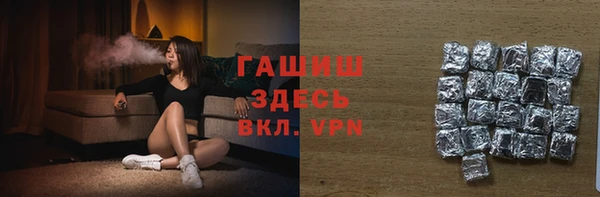 индика Болхов
