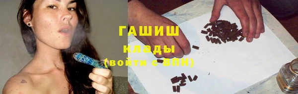 индика Болхов