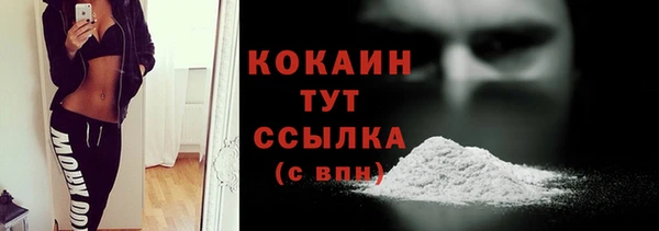 индика Болхов