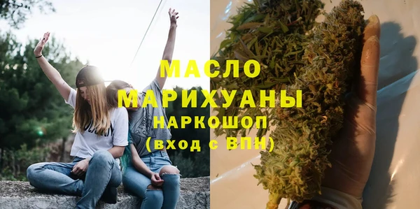 индика Болхов