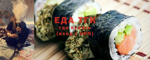 индика Болхов