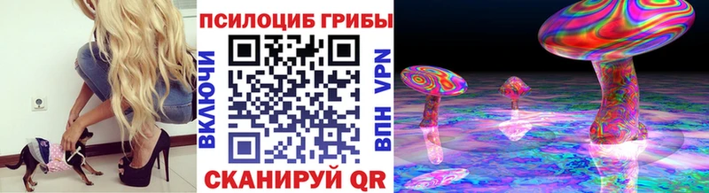 Галлюциногенные грибы Cubensis  гидра сайт  Калач-на-Дону 