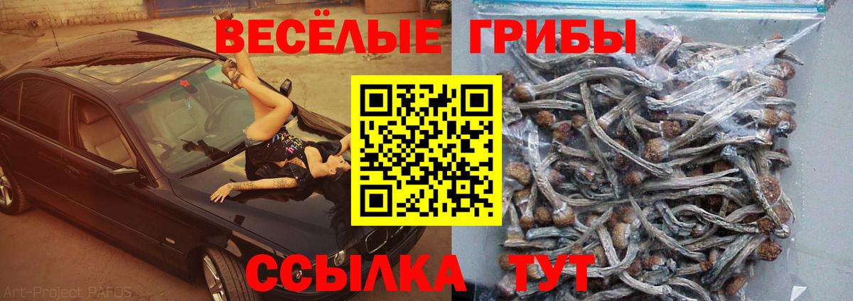 Псилоцибиновые грибы прущие грибы  Вход с VPN  Калач-на-Дону 
