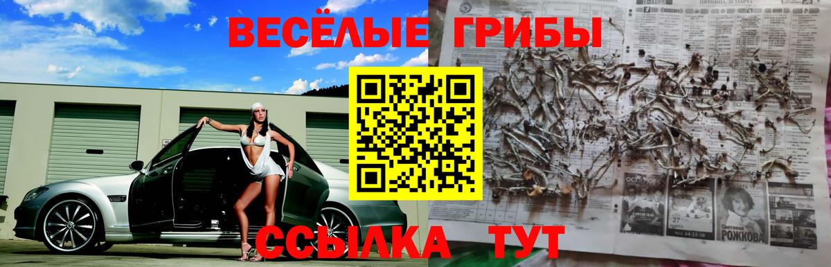 Галлюциногенные грибы ЛСД Калач-на-Дону